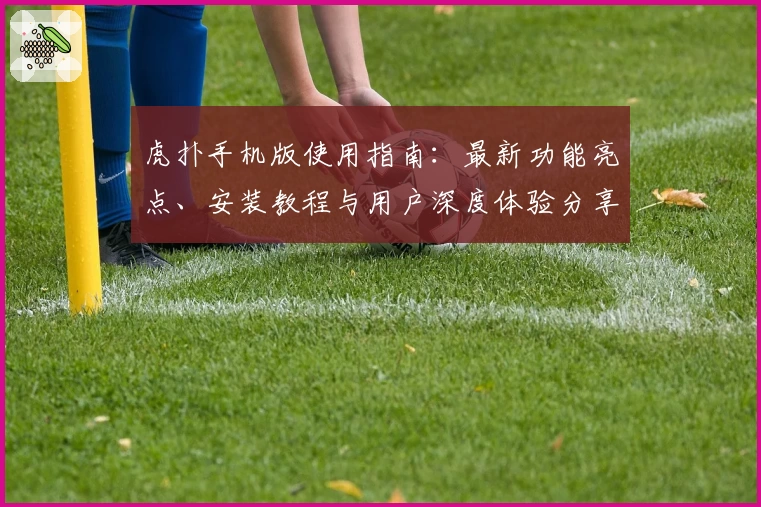 虎扑手机版使用指南：最新功能亮点、安装教程与用户深度体验分享
