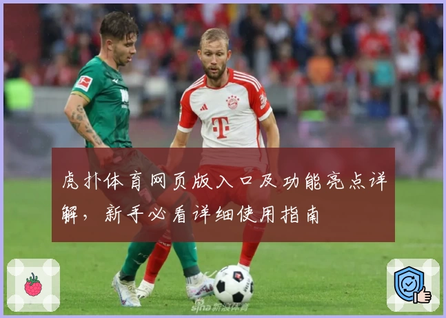 虎扑体育网页版入口及功能亮点详解，新手必看详细使用指南