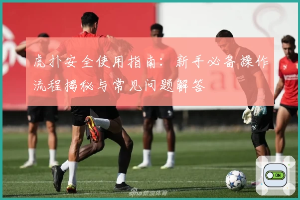 虎扑安全使用指南：新手必备操作流程揭秘与常见问题解答