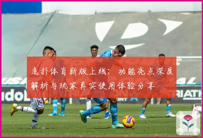 虎扑体育新版上线：功能亮点深度解析与玩家真实使用体验分享